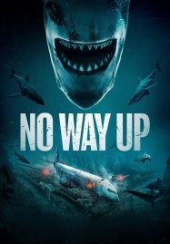 ดูหนังออนไลน์ฟรี No Way Up (2024) งาบคลั่งไฟลต์